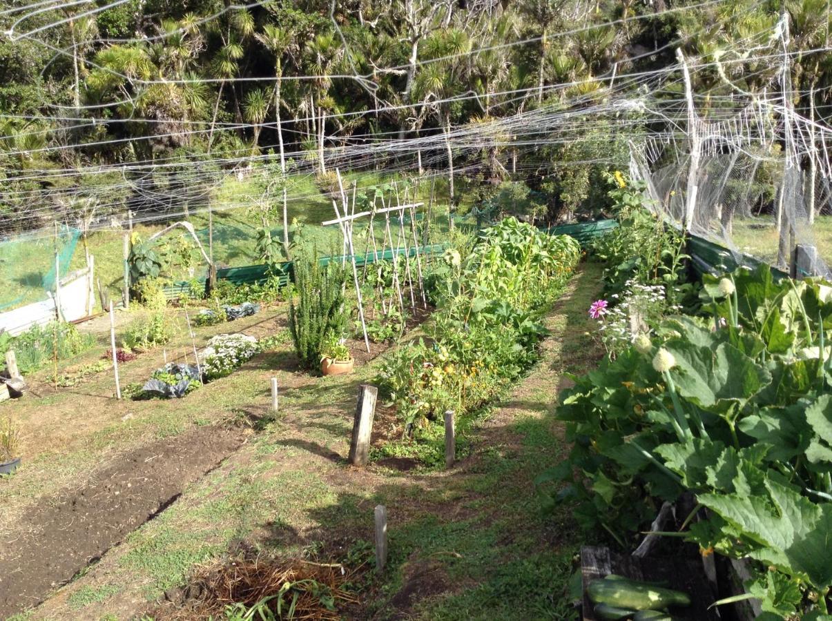 白马拉马瀑布小屋 奥波诺尼 外观 照片